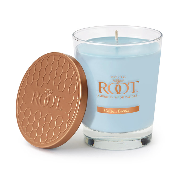 Root Candles Cotton Breeze Scented Jar Candle Wayfair
